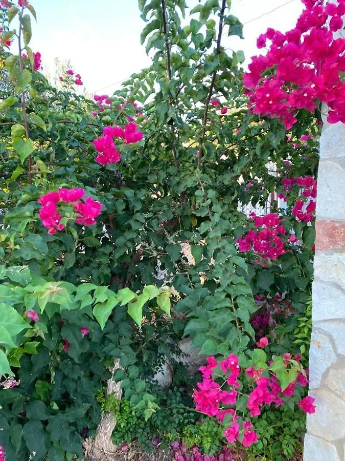 Tatil Evi Bounganville 127 Alcamo Marina İtalya